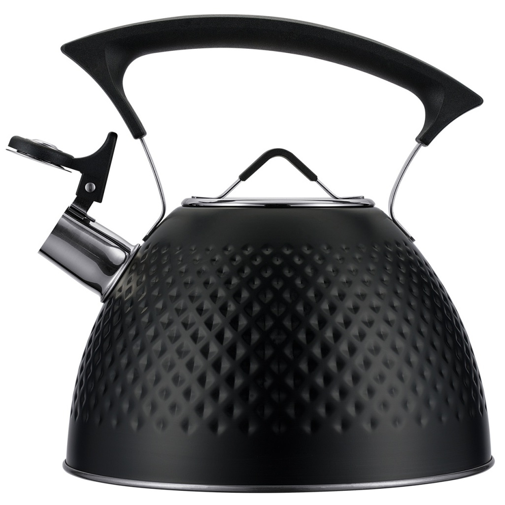 Чайник Regent Inox Linea TEA 78-002, объем 3 л, со свистком, нержавеющая сталь, цвет черный 