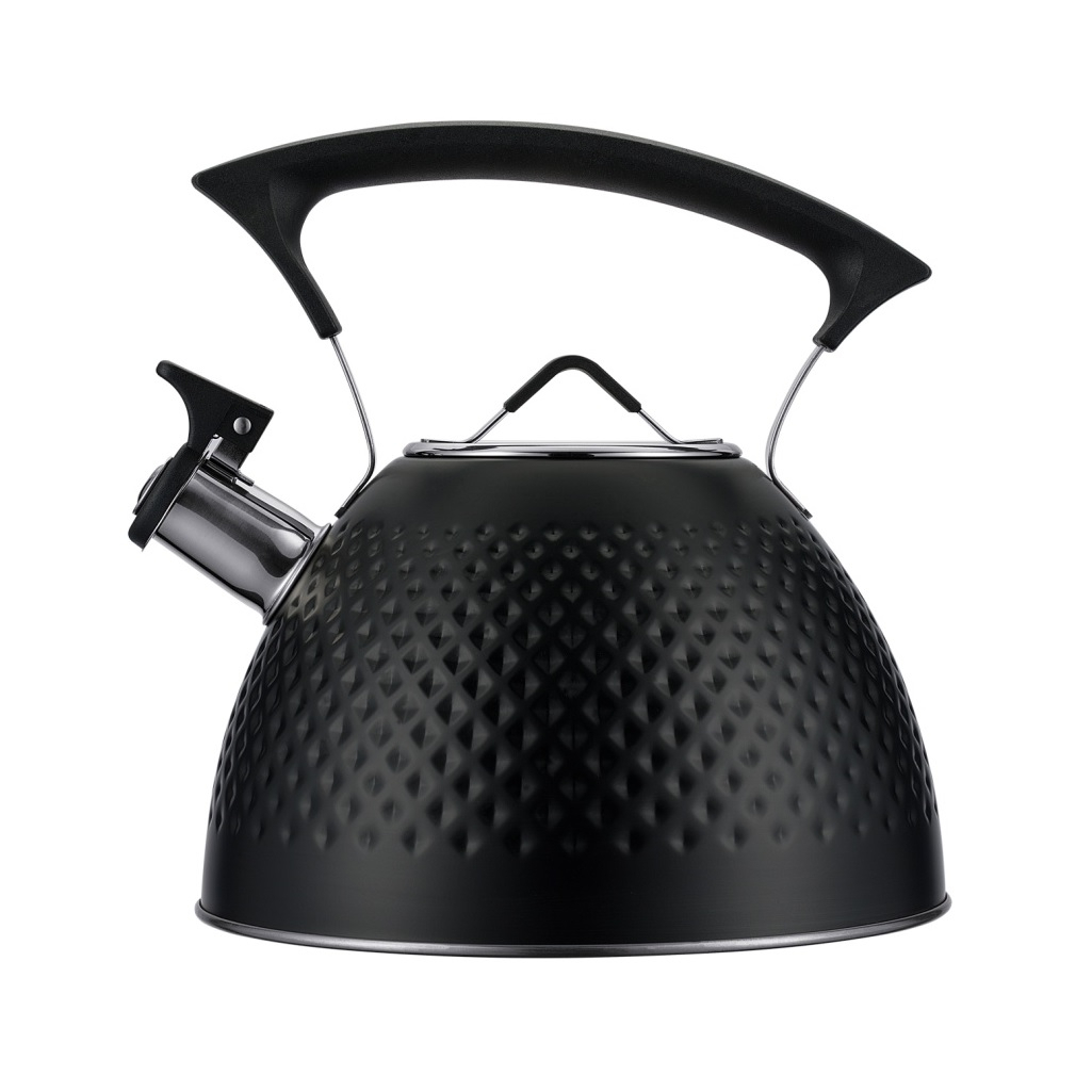 Чайник Regent Inox Linea TEA 78-002, объем 3 л, со свистком, нержавеющая сталь, цвет черный 