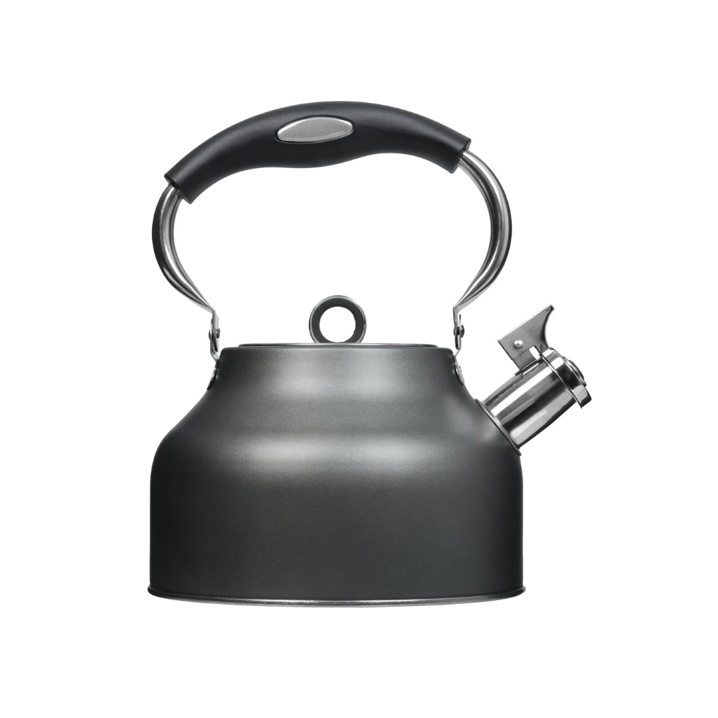 Чайник Regent inox Linea TEA 93-TEA-49, 2.5 л, со свистком, нержавеющая сталь