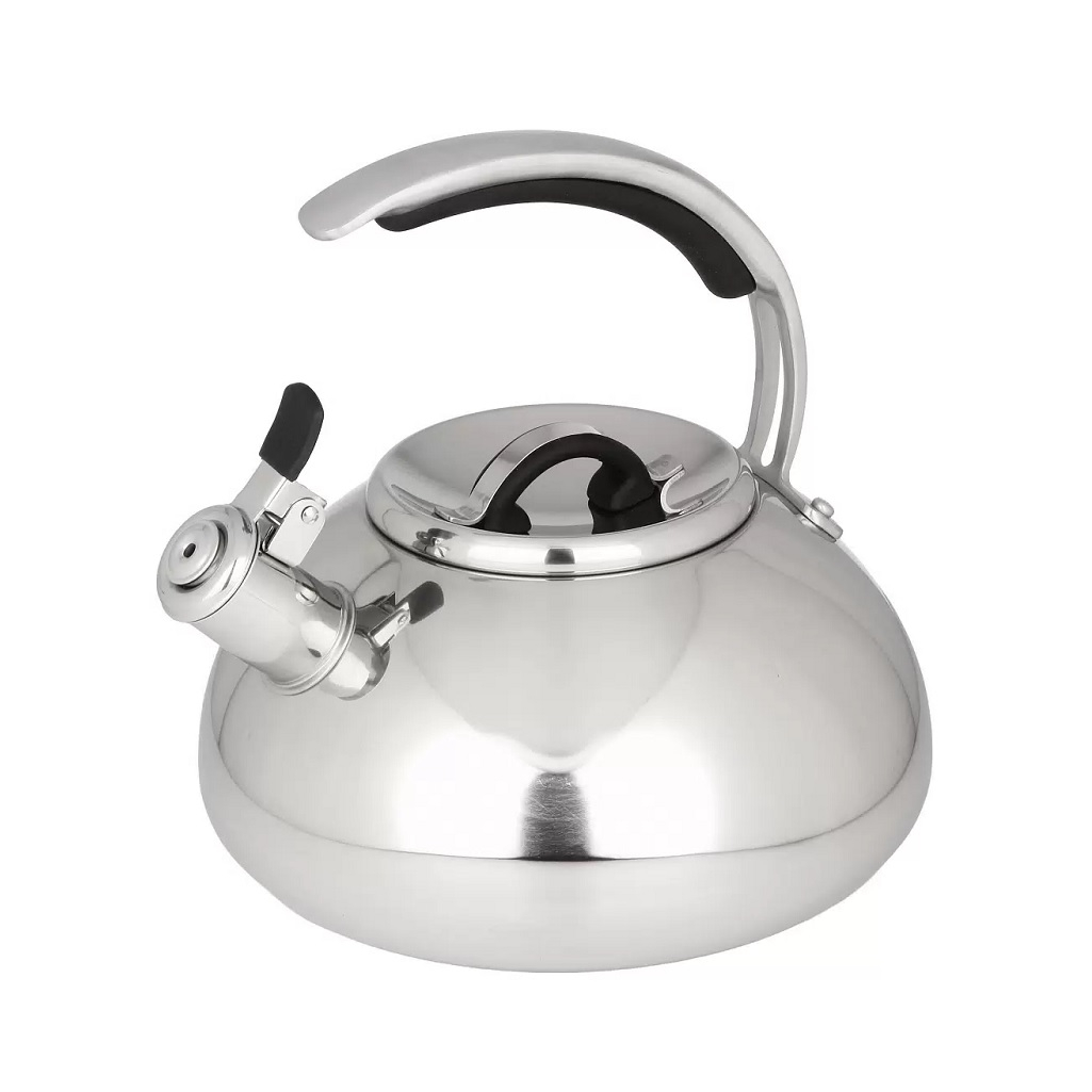 Чайник нержавеющая сталь Daniks Expert GS-04590, 480194, со свистком, зеркальный, индукция, 3 л