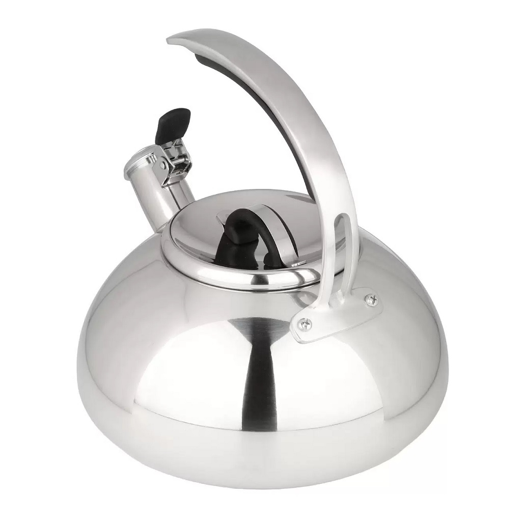 Чайник нержавеющая сталь Daniks Expert GS-04590, 480194, со свистком, зеркальный, индукция, 3 л