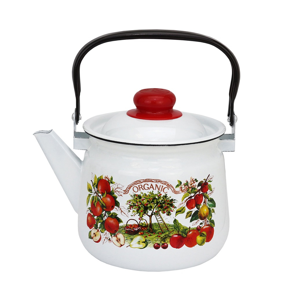 Чайник эмалированный Магнитогорск 01-2711/4-Organic, белый, с рисунком, 2.5 л