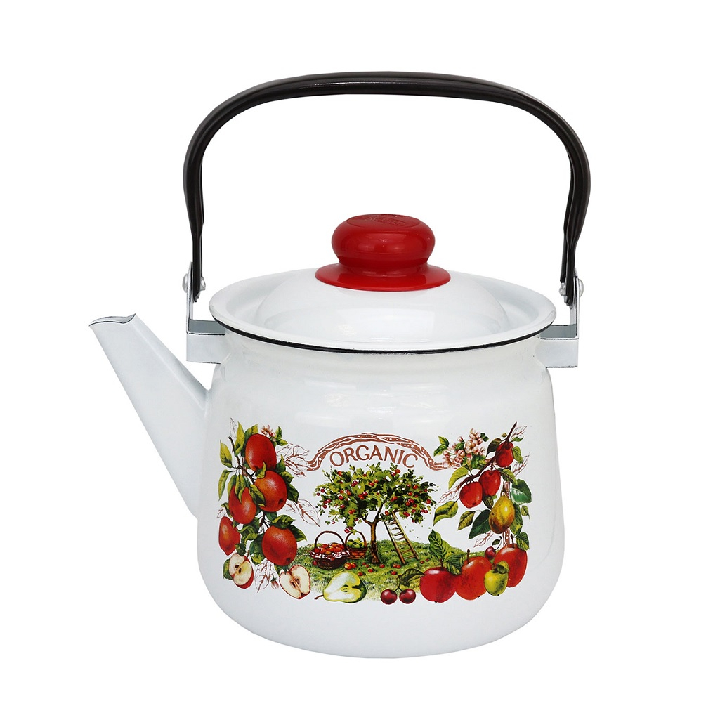 Чайник эмалированный Магнитогорск 01-2713/4-Organic, белый, с рисунком, 3.5 л