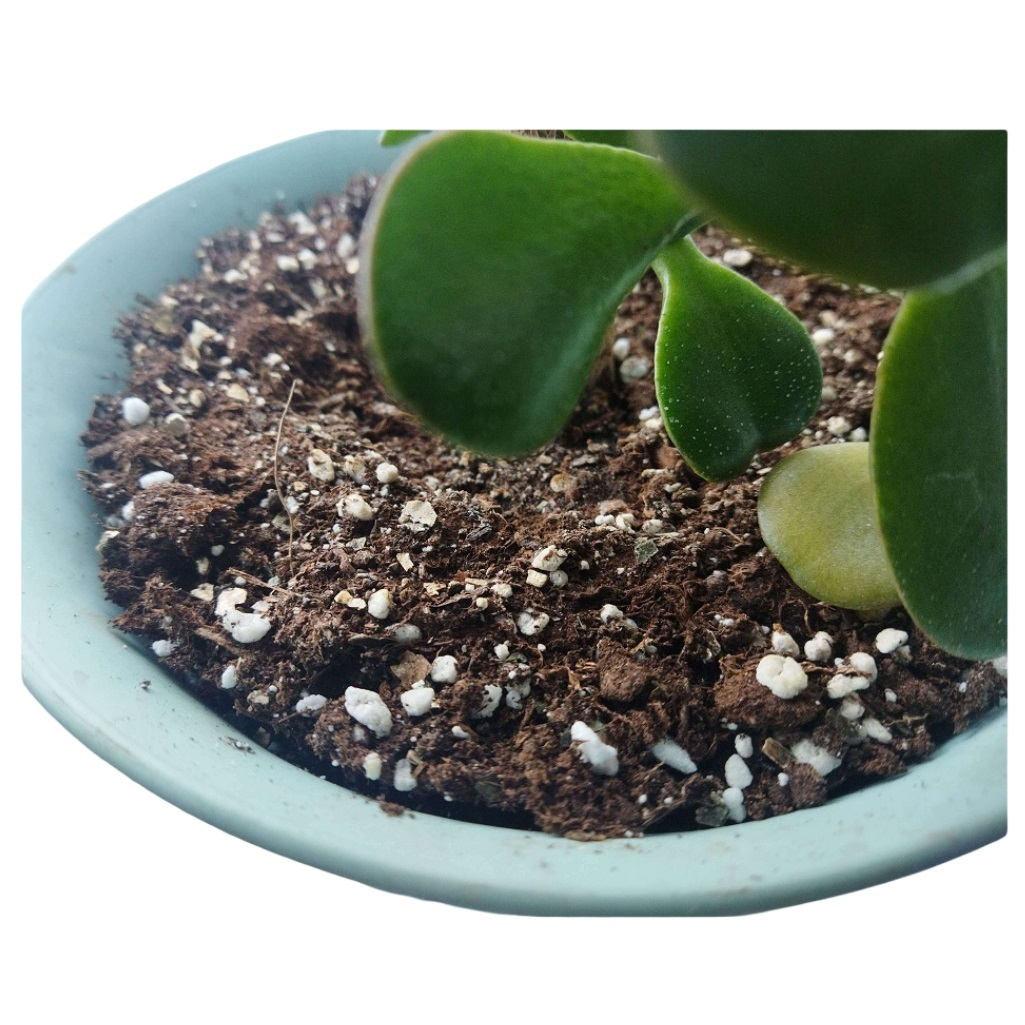 Смесь Вермикулит и Перлит, Рецепты Дедушки Никиты 6969146, субстрат, 5 л