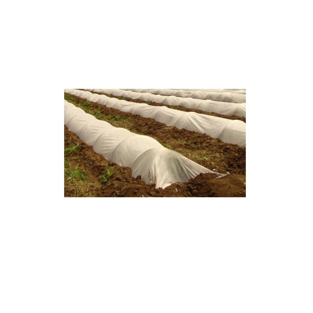 Материал укрывной АгроСпанбонд СУФ, белый, 80 г/кв.м, ширина 3.2 м, рулон 10 м 