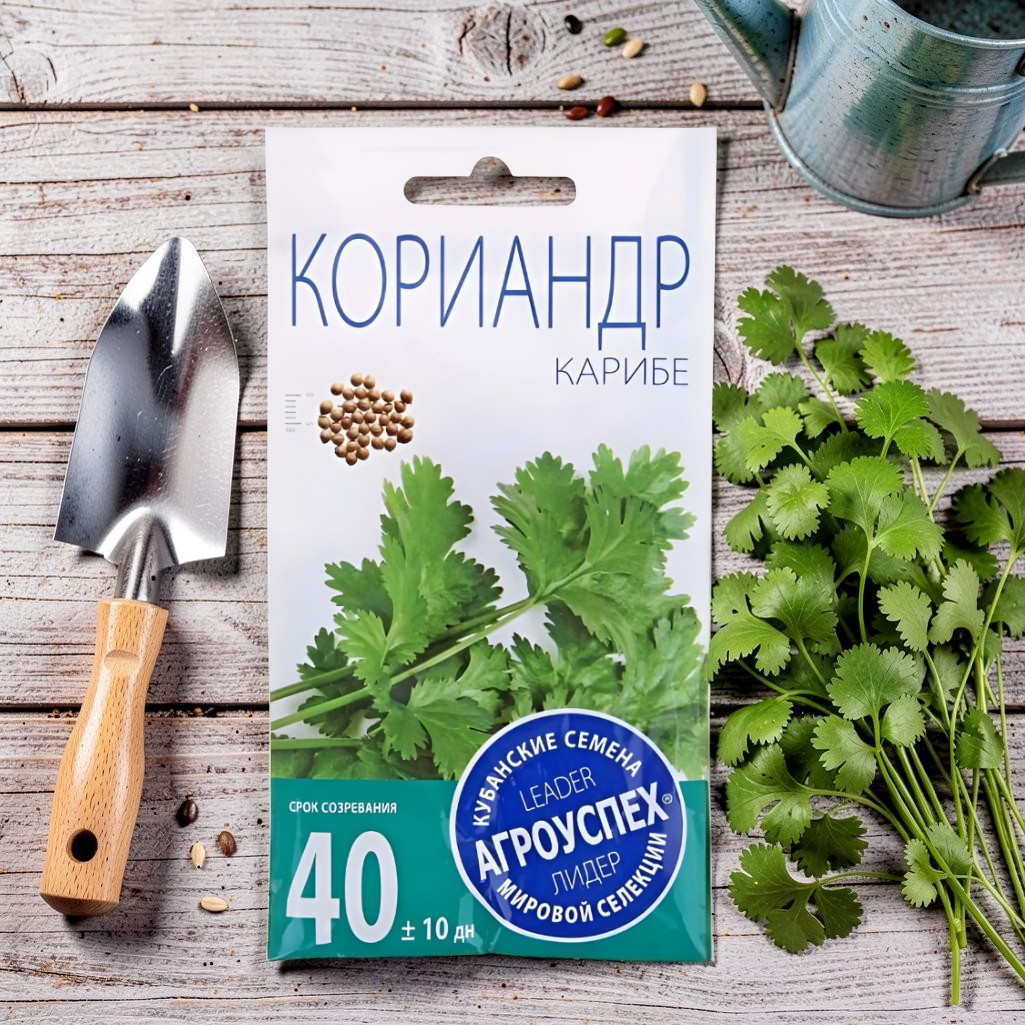 Семена Кориандр Карибе, среднеспелый, однолетний, Агроуспех, 5 г