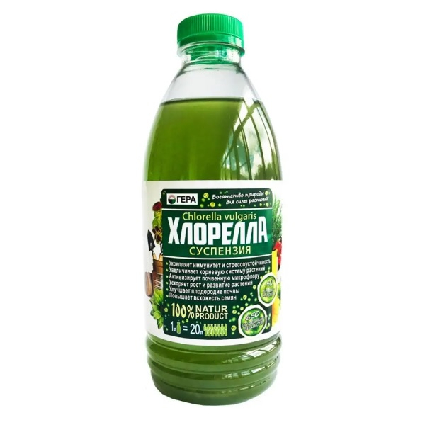 Суспензия Хлорелла ГЕРА 1 л
