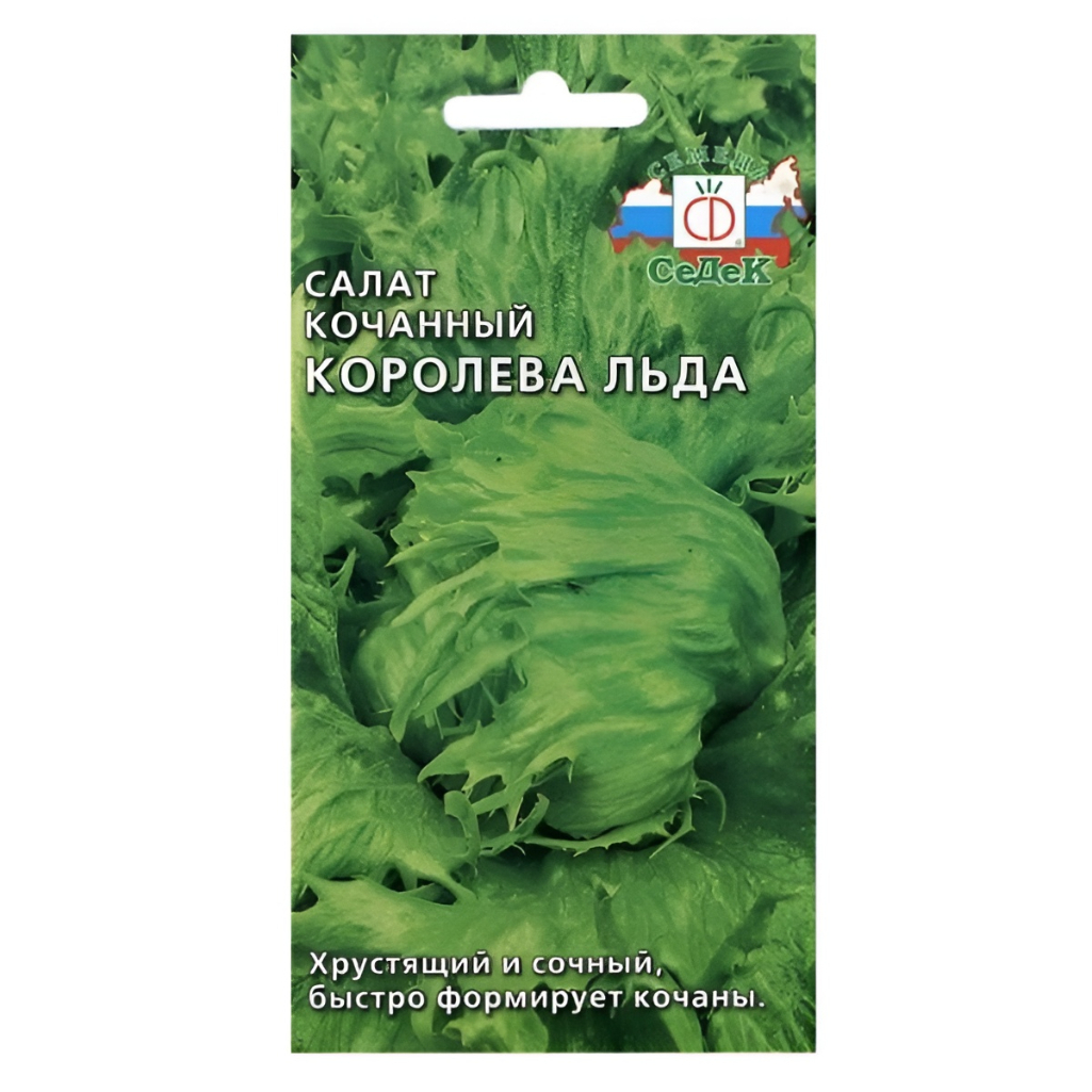 Семена Салат кочанный Королева льда, раннеспелый, Седек, 211532