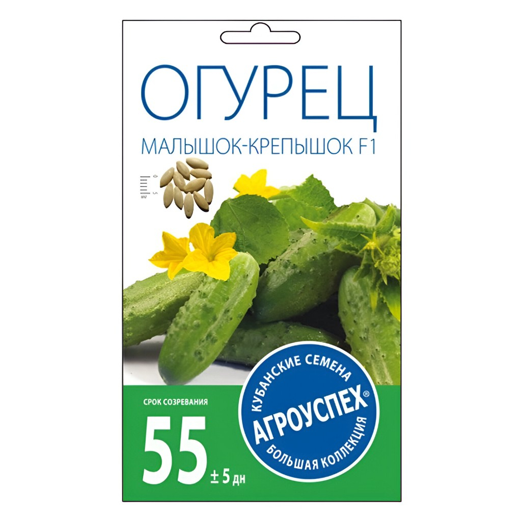 Семена Огурец Малышок-крепышок, раннеспелый, гибрид F1, Агроуспех 212070