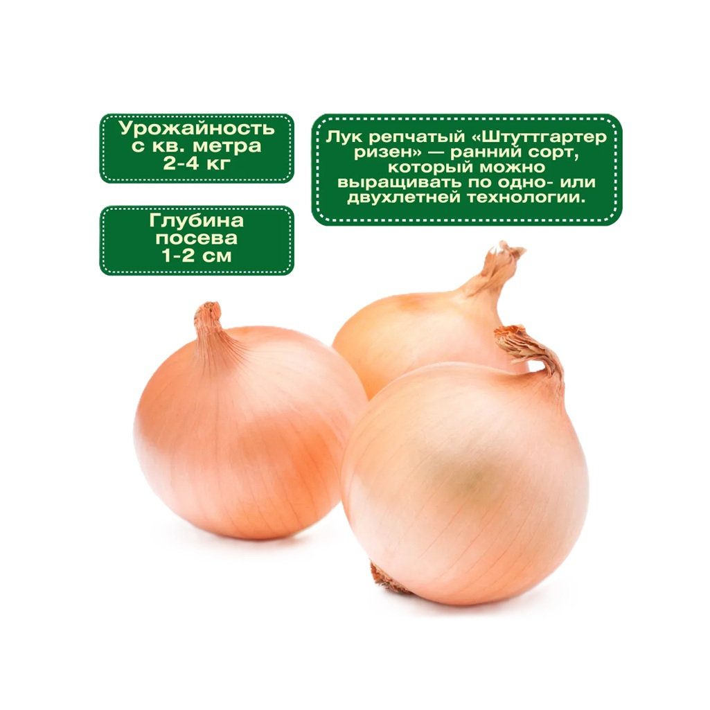 Семена Лук-севок Штуттгартер Ризен острый, 14-21 мм, желтый 0.5 кг