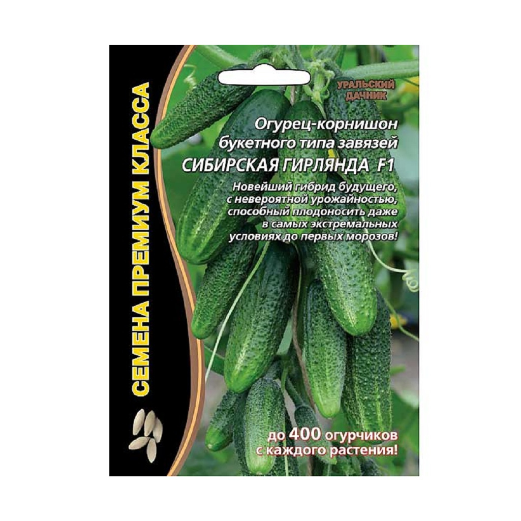 Огурец-корнишон букетного типа завязей Уральский Дачник Сибирская Гирлянда F1, гибрид, скороспелые
