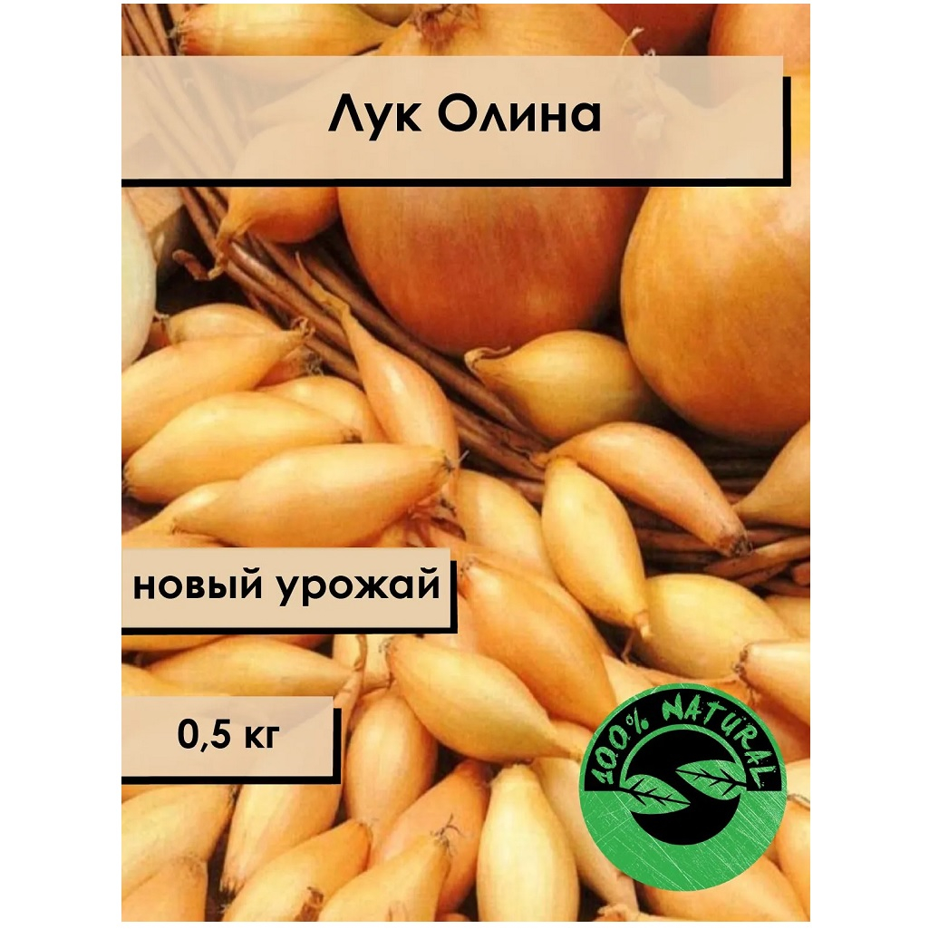 Семена Лук-севок Олина, желтый, однолетник, полуострый, морозостойкий, 0.5 кг