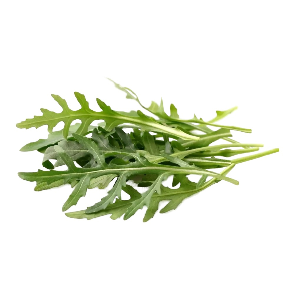 Семена Рукола Оливетта дикая Садовита Ц, раннеспелая, яркий вкус и аромат, богата витаминами, 0.3 гр