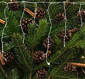 Гирлянда светодиодная Sneha A-057A WT/W FLASH, IP44, бахрома, Нейтральный свет, 5 м