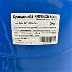 Гидроаккумулятор Essan Gidrach-Pro вертикальный 100 л, 1'', синий, проходной