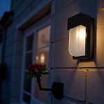 Фонарь уличный Reluce 09355-9.2-001U BK настенный, 40 Вт, Е27, IP44, металл, черный с белым