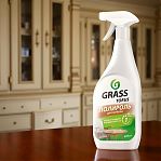 Средство чистящее GRASS Torus полироль для мебели, спрей, 600 мл
