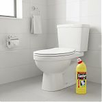 Средство чистящее Sanfor WC gel Ультрасила 13392, санитарно-гигиеническое, 1 л