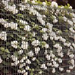 Секция заборная 3D Гиттер 1730х3000 мм, ячейка 200х60 мм, d 3.8 мм, сетка оцинкованная, серебристый цвет