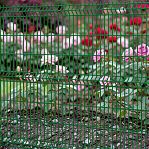 Секция заборная 3D Гиттер 1530х2500 мм, ячейка 200х50 мм, d 3.9 мм, сетка оцинкованная, ПВХ, зеленый цвет
