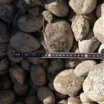 Камень натуральный Галька речная фракция 100-120 мм, цвет белый, от 1 кг