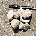 Камень натуральный Булыжник плоский фракция 80-100 мм, цвет серый, от 1 кг
