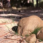 Камень натуральный Валун мраморный фракция 1200-2000 мм, цвет красный, от 1 кг
