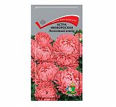 Семена Астры низкорослой Лососевый ковер Поиск, однолетник, 0.2 г