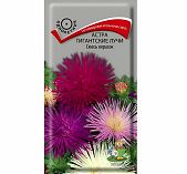 Семена цветов Астра Гигантские лучи смесь окрасок, Поиск, однолетник, 0.3 гр