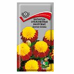 Семена цветов Бархатцы отклоненные махровые Золотая головка, Поиск, для открытого грунта, 0.4 гр