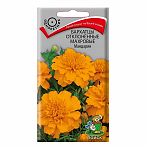 Семена цветов Бархатцы отклоненные махровые Мандарин, Поиск, 0.4 гр