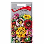 Семена Газания Садовая Звезда, однолетняя, Агрохолдинг Поиск, 0.1 гр