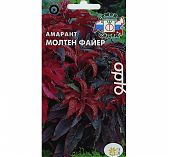 Амарант Молтен Файер двухцветный Седек 214490