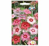 Семена Гвоздика Перистая Краковяк Седек 214524