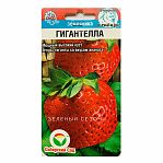 Земляника Сибирский Сад Гигантелла, мощный высокий куст, ягоды-гиганты со вкусом ананаса