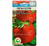 Земляника Сибирский Сад Гигантелла, мощный высокий куст, ягоды-гиганты со вкусом ананаса