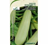 Семена Кабачок Искандер Садовита, раннеспелый, гибрид F1, в упаковке 5 семян