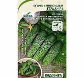 Семена Seminis Садовита Огурец Герман F1, в упаковке 5 семян