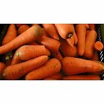 Семена Морковь Абако, раннеспелая, гибрид F1, Поиск, 0.5 гр