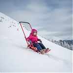 Санки Nika Kids Nikki 3 N3/АЛ2 с ручкой, на колесах, складные, алые