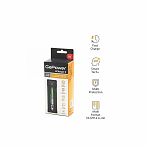 Зарядное устройство GoPower 00-00015361 автоматическое, для аккумуляторных батареек LiCharger 2