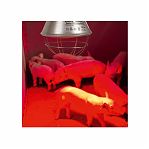 Лампа накаливания инфракрасная зеркальная КЭЛЗ ИКЗК-250, R127, Е27, термоизлучатель 