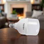 Лампа светодиодная TOKOV ELECTRIC TKE-HP-E40/E27-50-6.5K 1660436, 50 Вт, HP, Е40/Е27, 6500К холодный свет