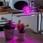 Лампа светодиодная для растений Leek LE FITO LE010514-0001, 9W, E27, красно-синий спектр