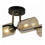 Люстра Illumico IL8148-6COU-79 BK BR Bice