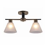 Люстра Reluce 09112-3.3-02 FG+BK потолочная для гостиной, детской, кухни, спальни