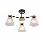 Люстра Reluce 01625-0.3-03 BK+WOOD, 3 лампы, Е27, 180 Вт, стекло, до 18 кв.м