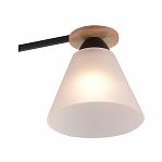 Люстра Reluce 01625-0.3-03 BK+WOOD, 3 лампы, Е27, 180 Вт, стекло, до 18 кв.м