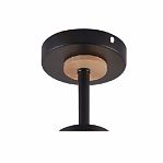 Люстра Reluce 01625-0.3-03 BK+WOOD, 3 лампы, Е27, 180 Вт, стекло, до 18 кв.м