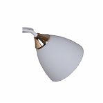 Люстра Reluce 06104-0.3-02 WH+FG, 2 лампы, Е27, 80 Вт, стекло, до 12 кв.м